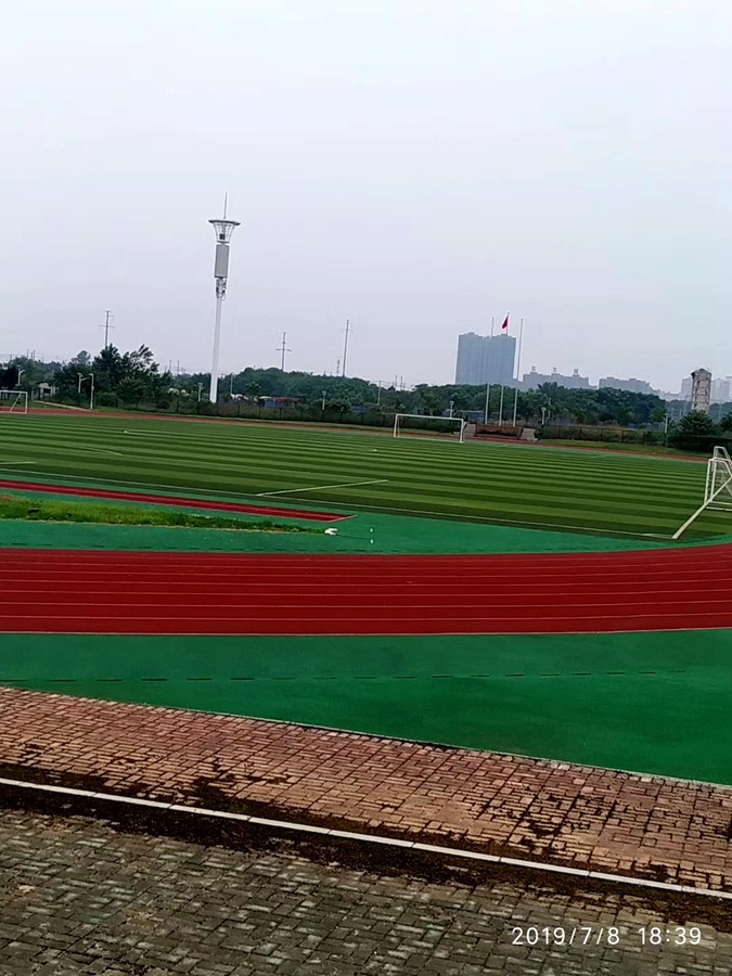 1562631770118031.jpg mmexport1562631244549.jpg